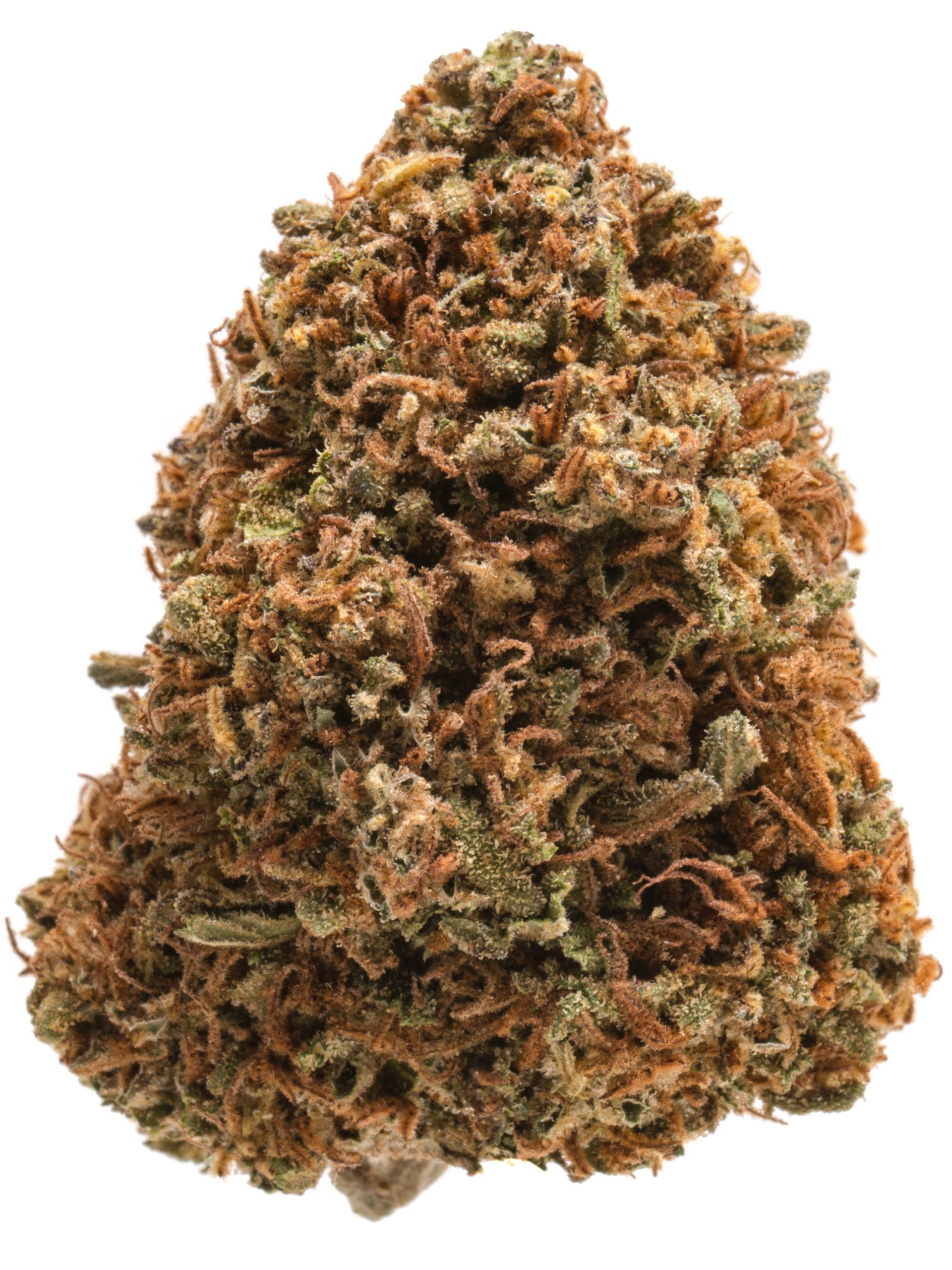 Orange Kush CANNABIS STRAIN [Hybrid] 7 Grams • Cannabis Delivery